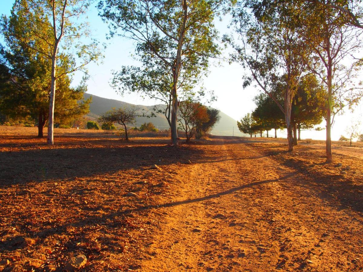 Casa Mayoral B&B Pet Friendly Valle de Guadalupe Extérieur photo