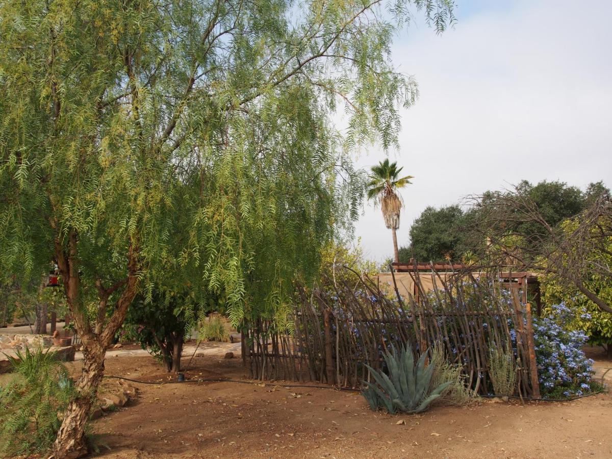 Casa Mayoral B&B Pet Friendly Valle de Guadalupe Extérieur photo
