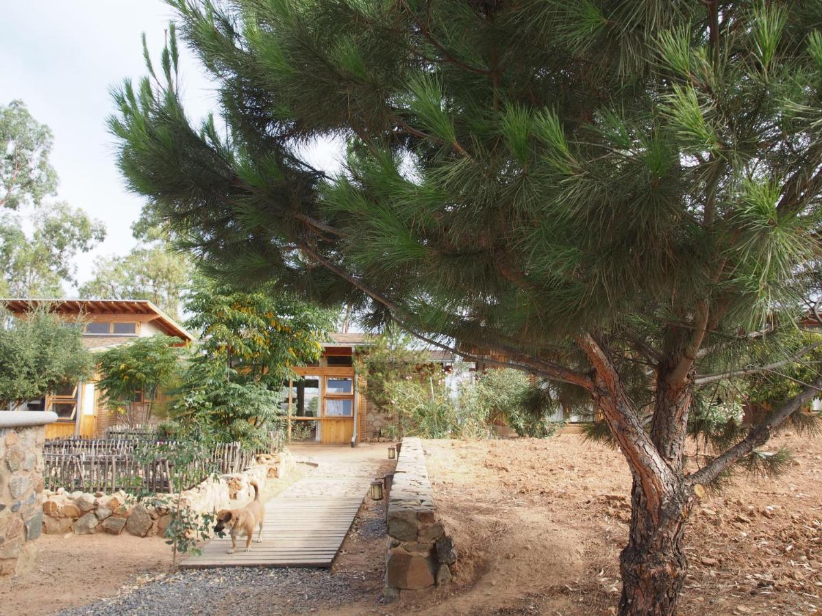 Casa Mayoral B&B Pet Friendly Valle de Guadalupe Extérieur photo