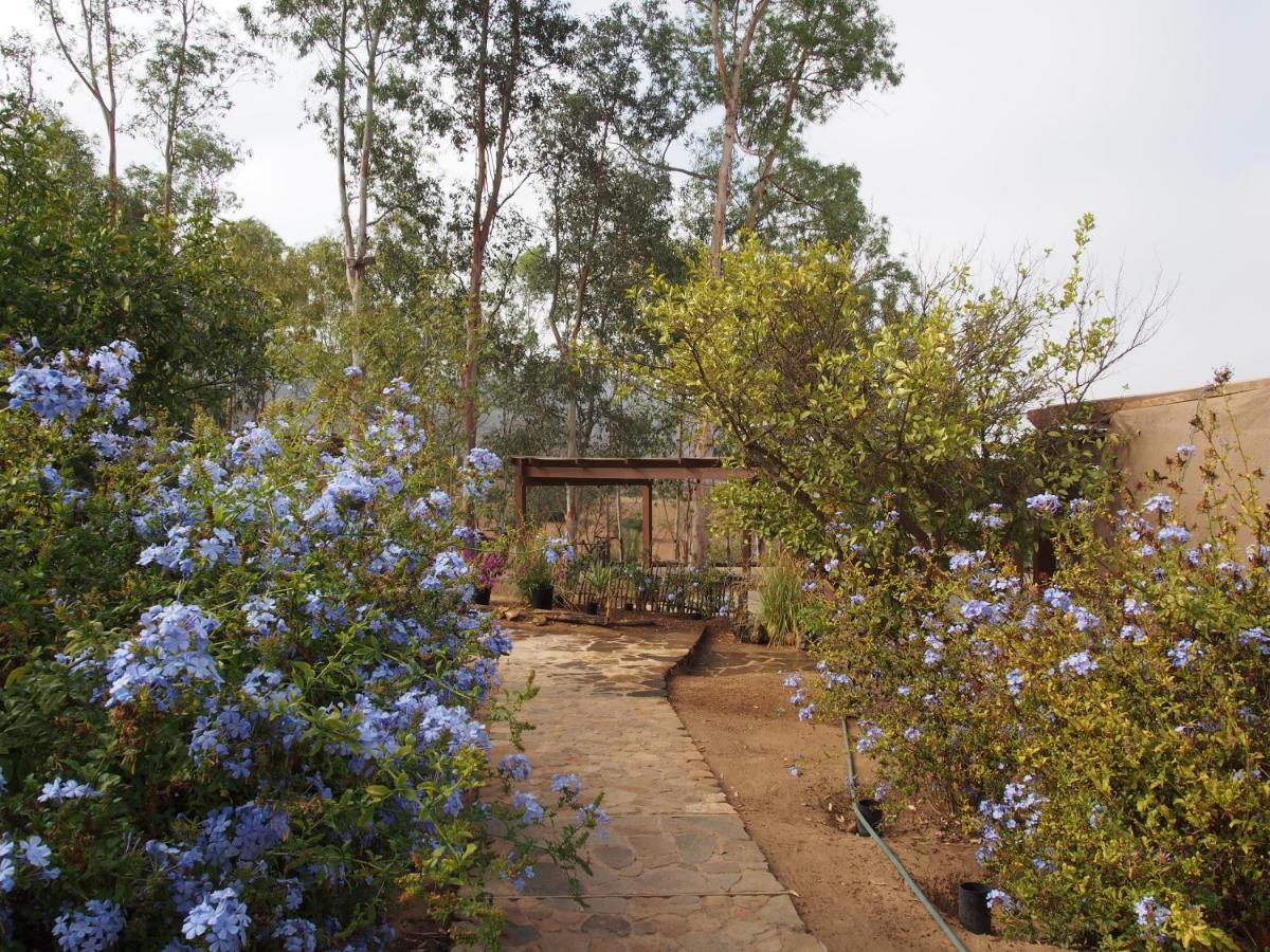 Casa Mayoral B&B Pet Friendly Valle de Guadalupe Extérieur photo