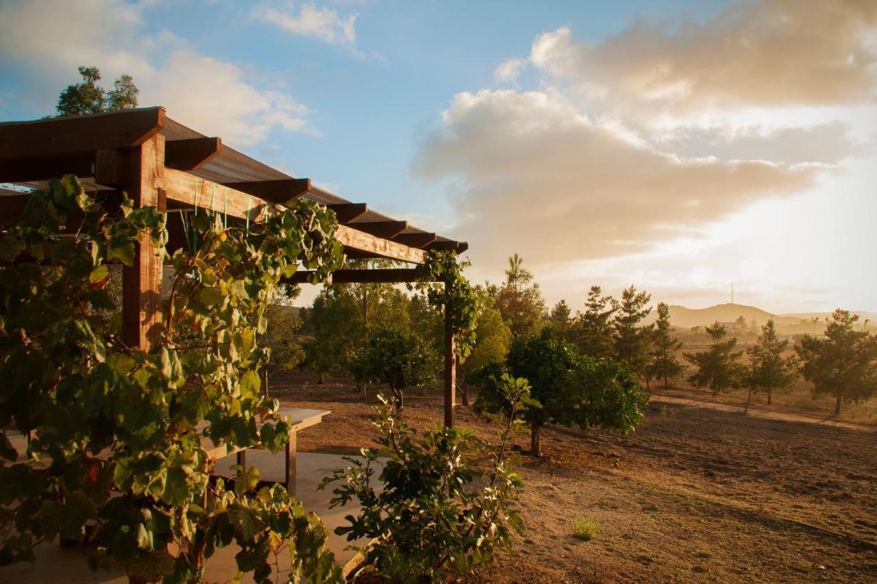 Casa Mayoral B&B Pet Friendly Valle de Guadalupe Extérieur photo
