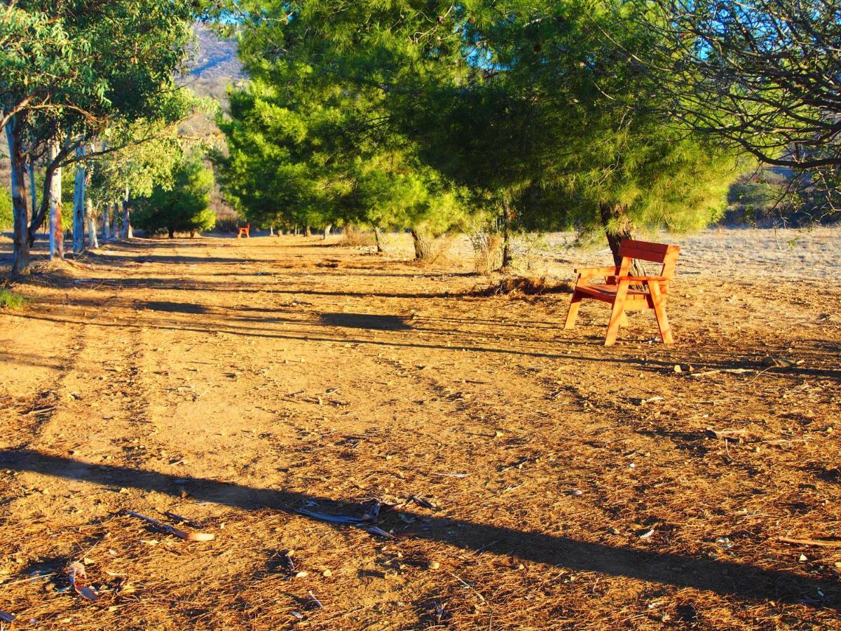 Casa Mayoral B&B Pet Friendly Valle de Guadalupe Extérieur photo