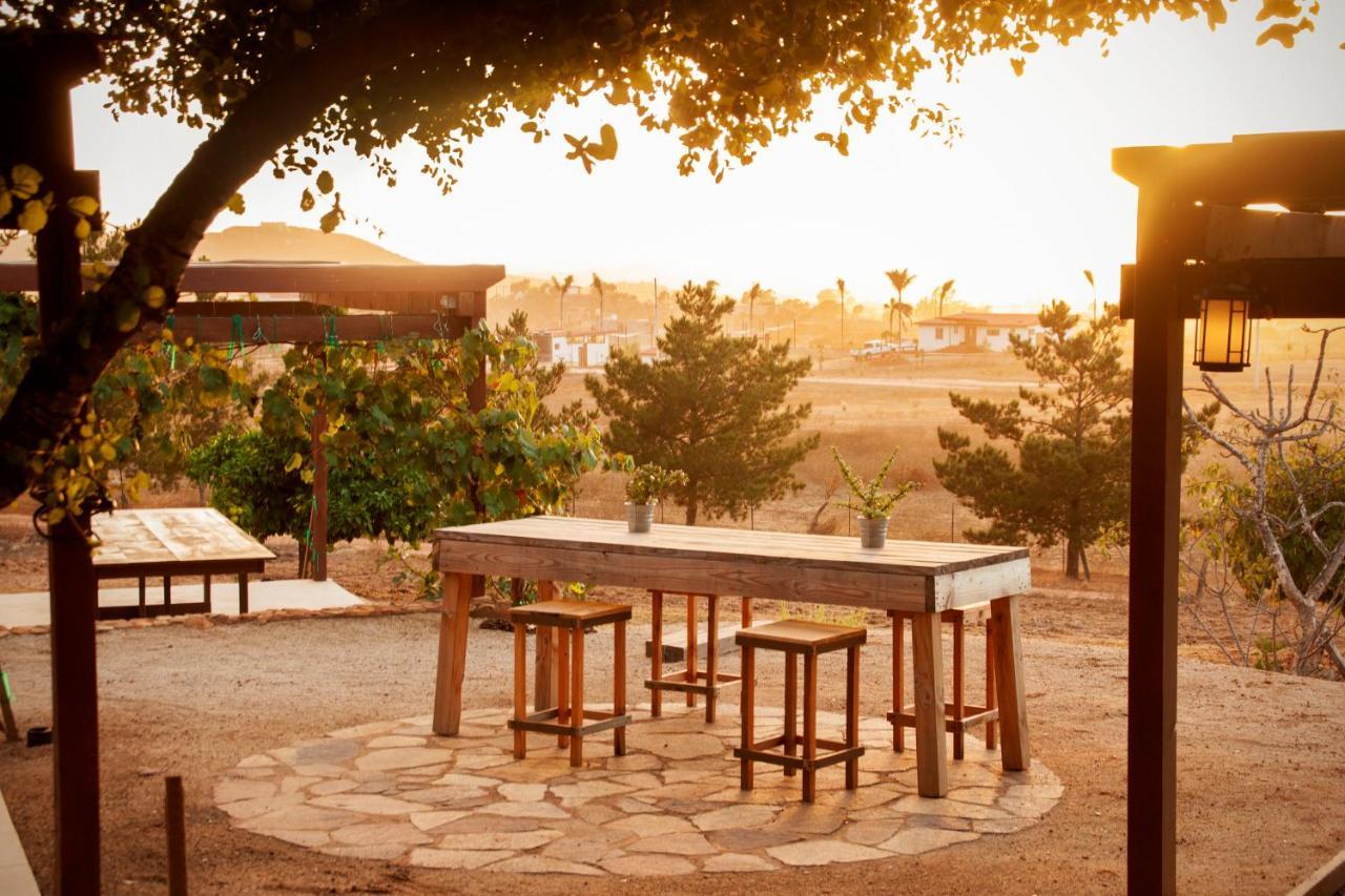 Casa Mayoral B&B Pet Friendly Valle de Guadalupe Extérieur photo