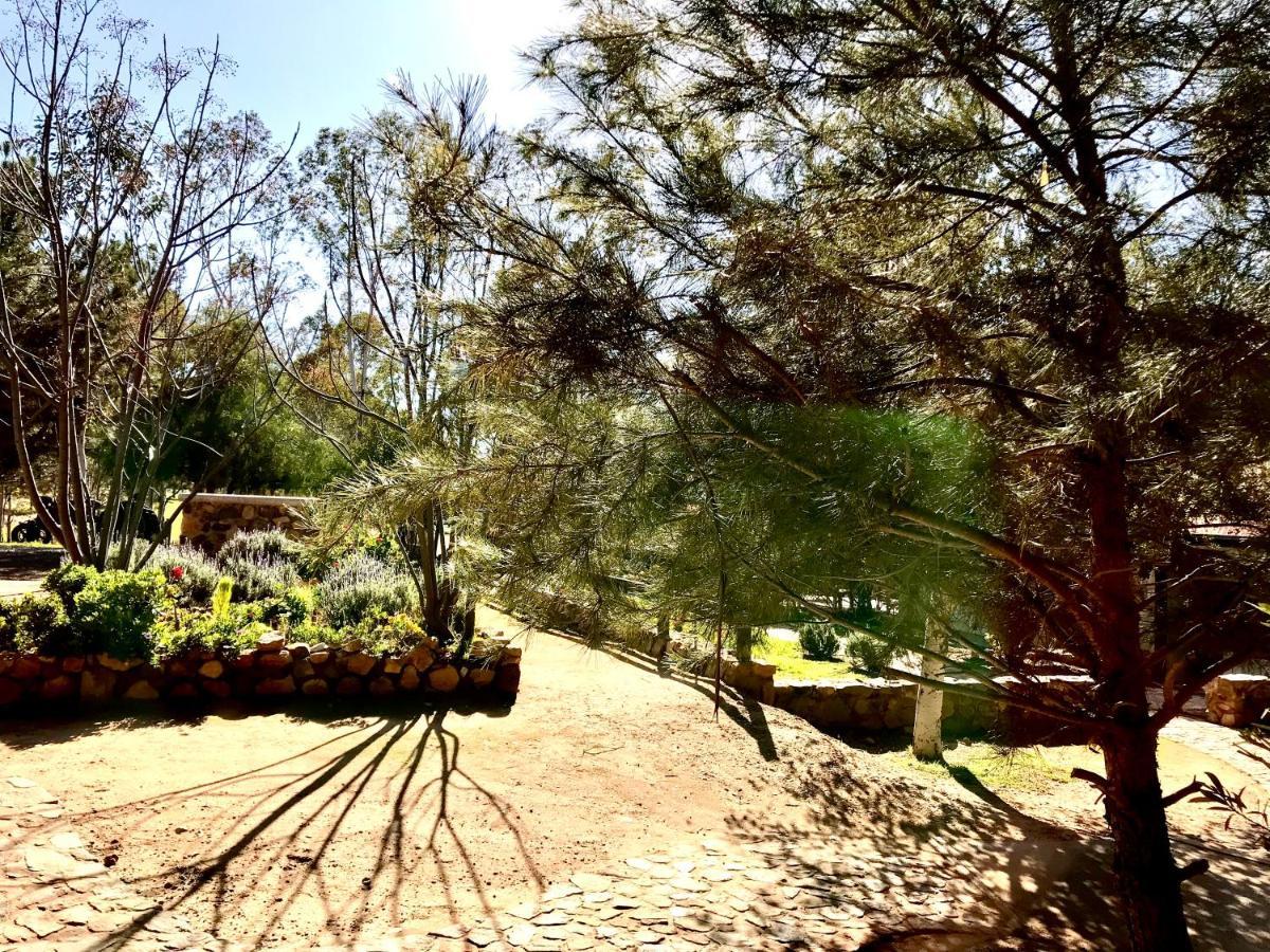 Casa Mayoral B&B Pet Friendly Valle de Guadalupe Extérieur photo