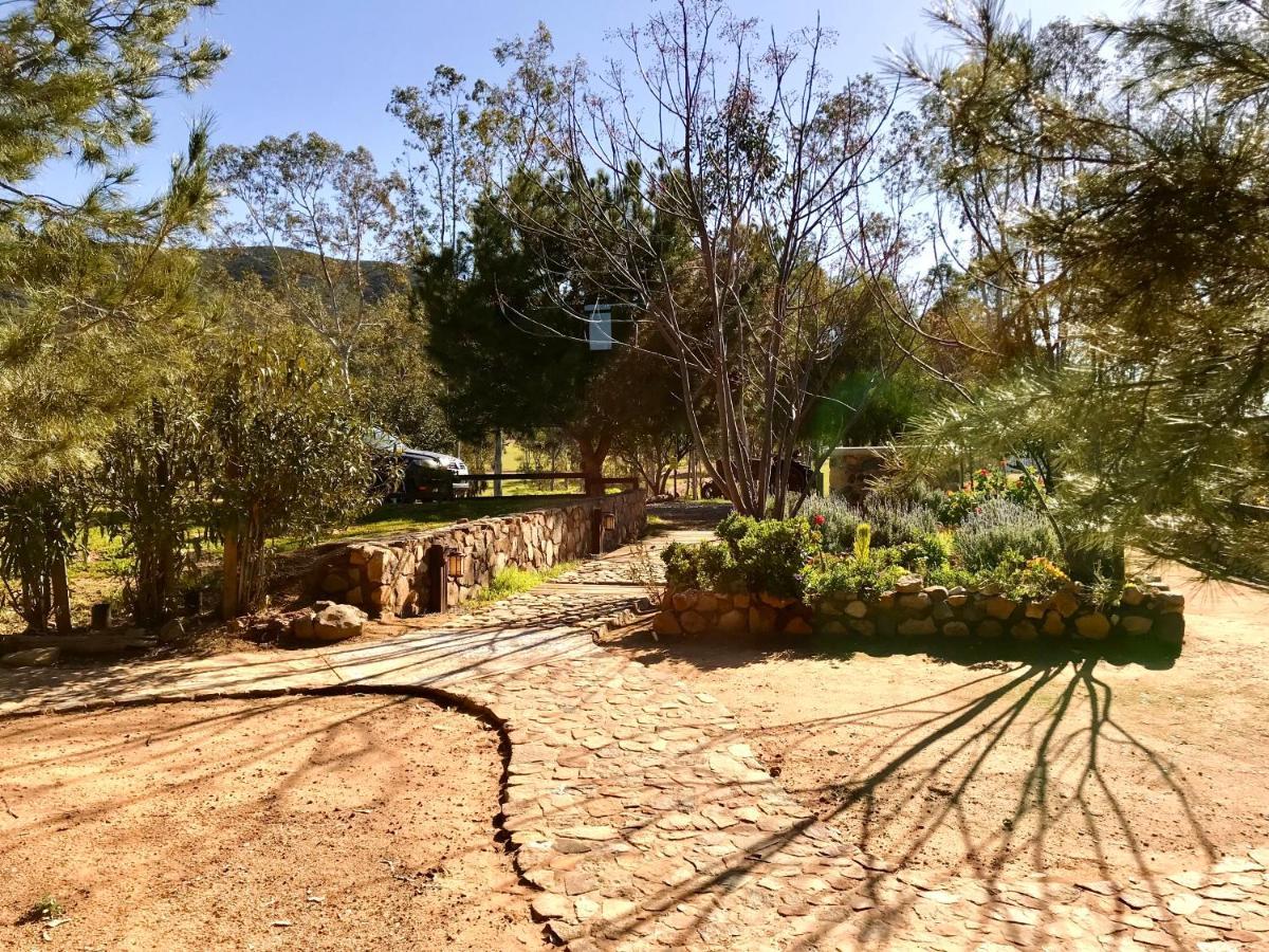 Casa Mayoral B&B Pet Friendly Valle de Guadalupe Extérieur photo