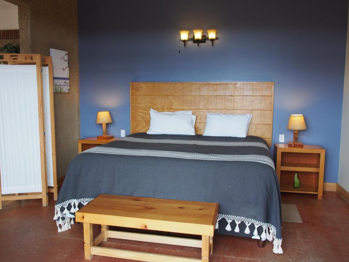 Casa Mayoral B&B Pet Friendly Valle de Guadalupe Extérieur photo