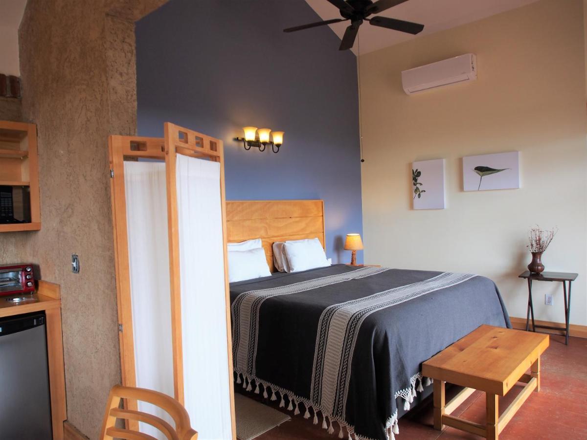 Casa Mayoral B&B Pet Friendly Valle de Guadalupe Extérieur photo