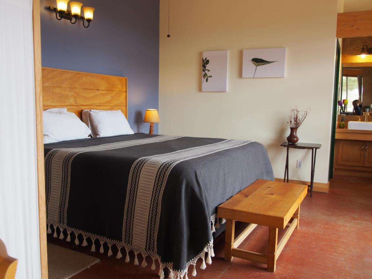 Casa Mayoral B&B Pet Friendly Valle de Guadalupe Extérieur photo